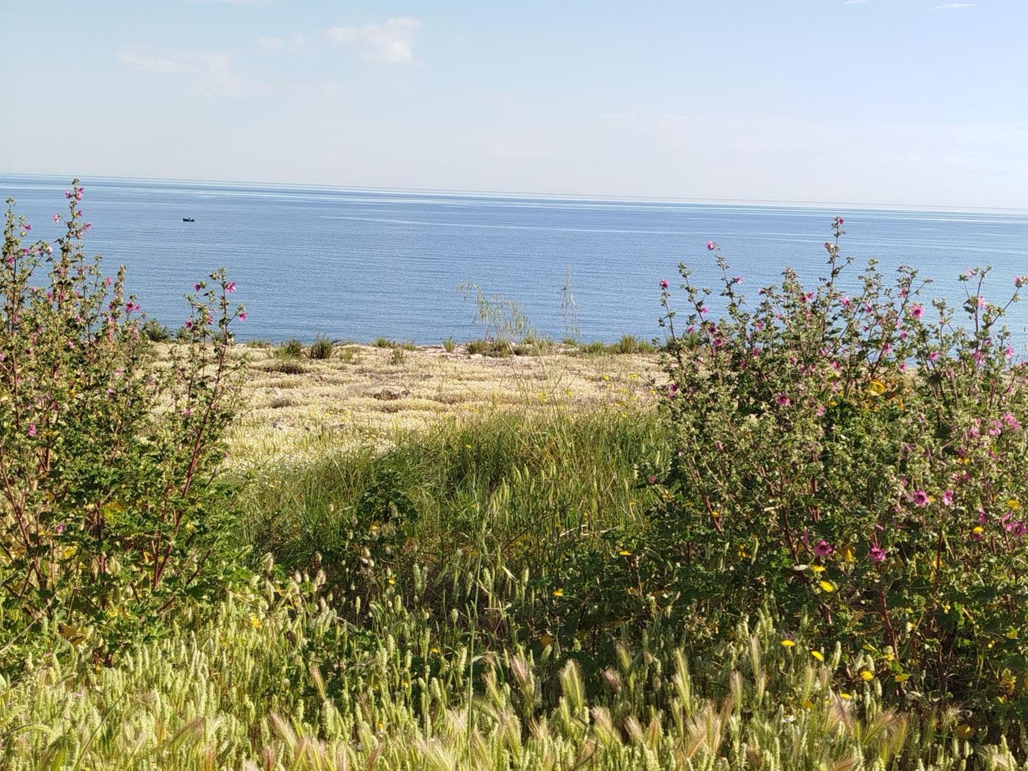 Casa Manaar Polignano a Mare Buitenkant foto